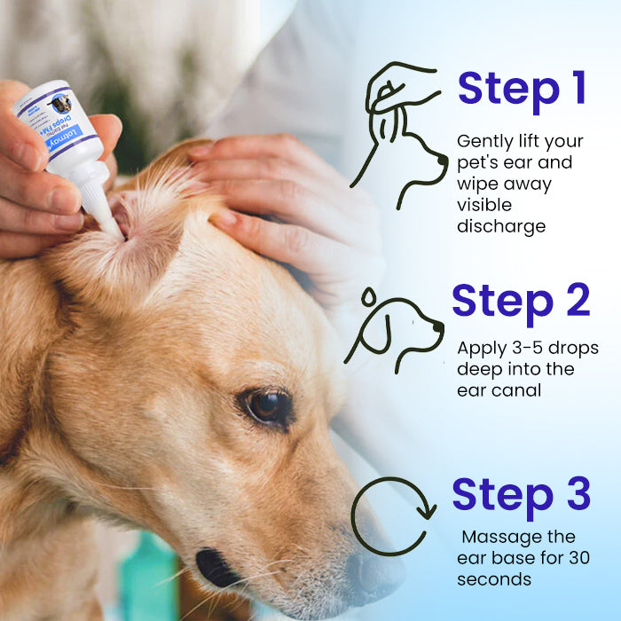 🌟 Official Store | Lotmay® Pet EarPro Drops FM+ – pethappylife