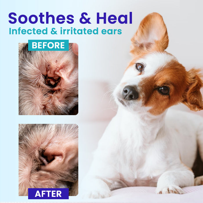 🌟 Official Store | RZXEA™ Pet EarPro Drops FM+ – pethappylife