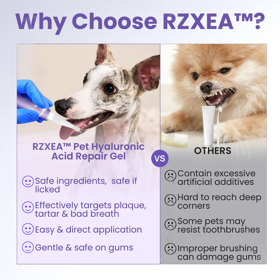 🌟 Official Store | RZXEA™ Pet Hyaluronic Acid Repair Gel – pethappylife