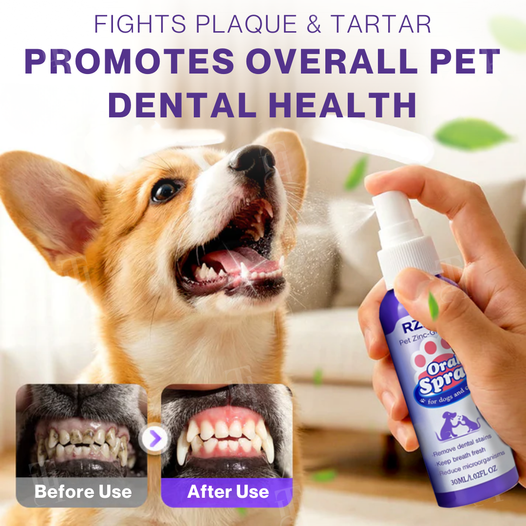🌟 Official Store | RZXEA™ Pet Zinc-Gluconate Oral Spray – pethappylife