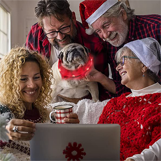 AEXZR® The Pethouse Negative Ion Infrared Pet Electromagnetic Physiotherapy Collar