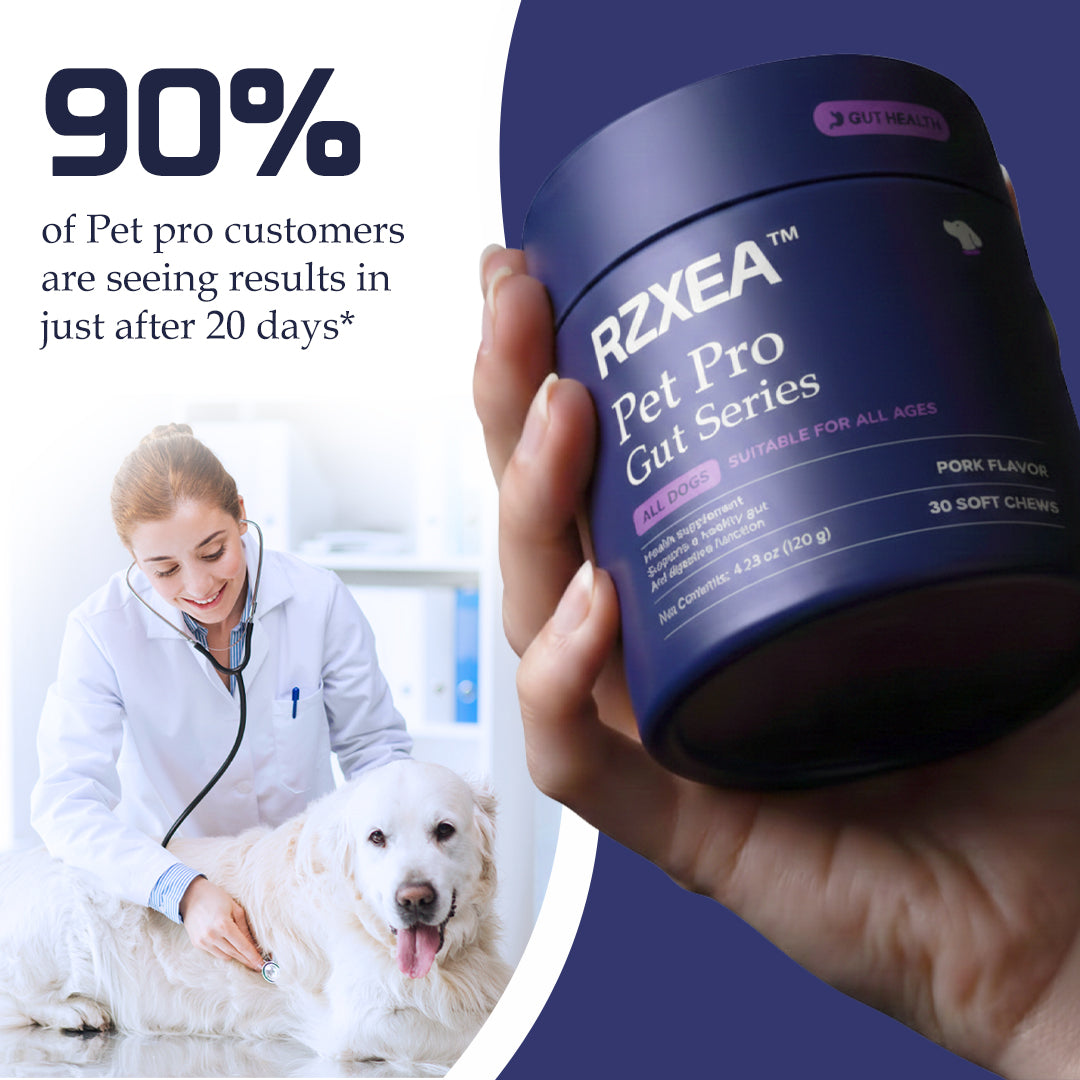 🌟 Official Store | RZXEA™ Pet Pro-Gut Series – pethappylife
